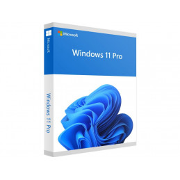 Microsoft Windows 11 Pro OEM