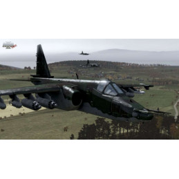 Arma II: Complete Collection PC Steam CD Key