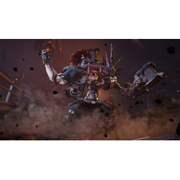 Borderlands 4 PC Steam CD Key