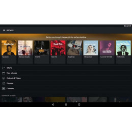 Spotify 12-month Premium Account