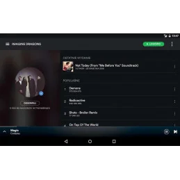 Spotify 12-month Premium Account