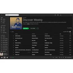 Spotify 12-month Premium Account
